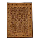 Wool Oriental Area Rug