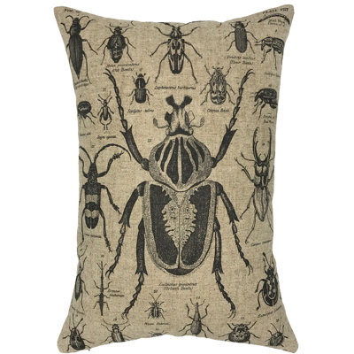  Coussin Beetles