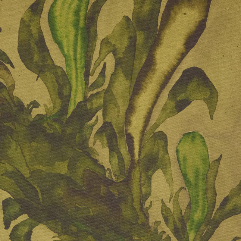 Epiphytes Diptych Set by Molly Franken, 18.25" H x 28.5" W x 2" D