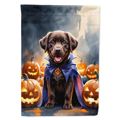 Drapeau de chiot Halloween House