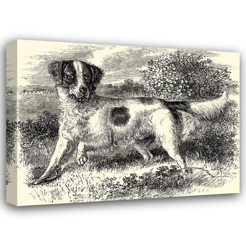 Red Barrel Studio unknown Gallery Wrapped Canvas Art Titled: English Setter