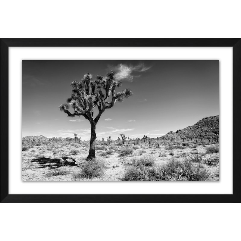 Desert Dusk 1 Print by Christopher Kennedy