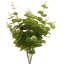 Faux plante d'eucalyptus