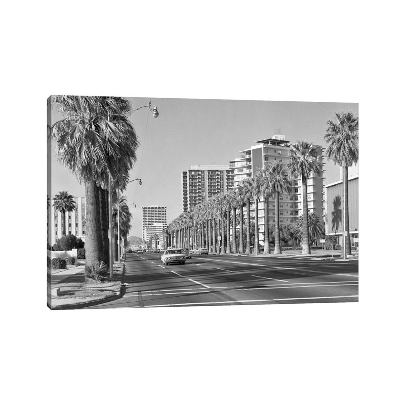 1960s Rows Of Palm Trees Central Avenue Phoenix AZ USA - Wrapped Canvas Print, 101.6 cm H x 66.04 cm W x 1.91 cm D