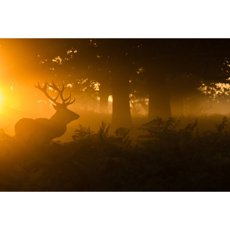 Wrapped Canvas Print, 50.8 cm H x 76.2 cm W
