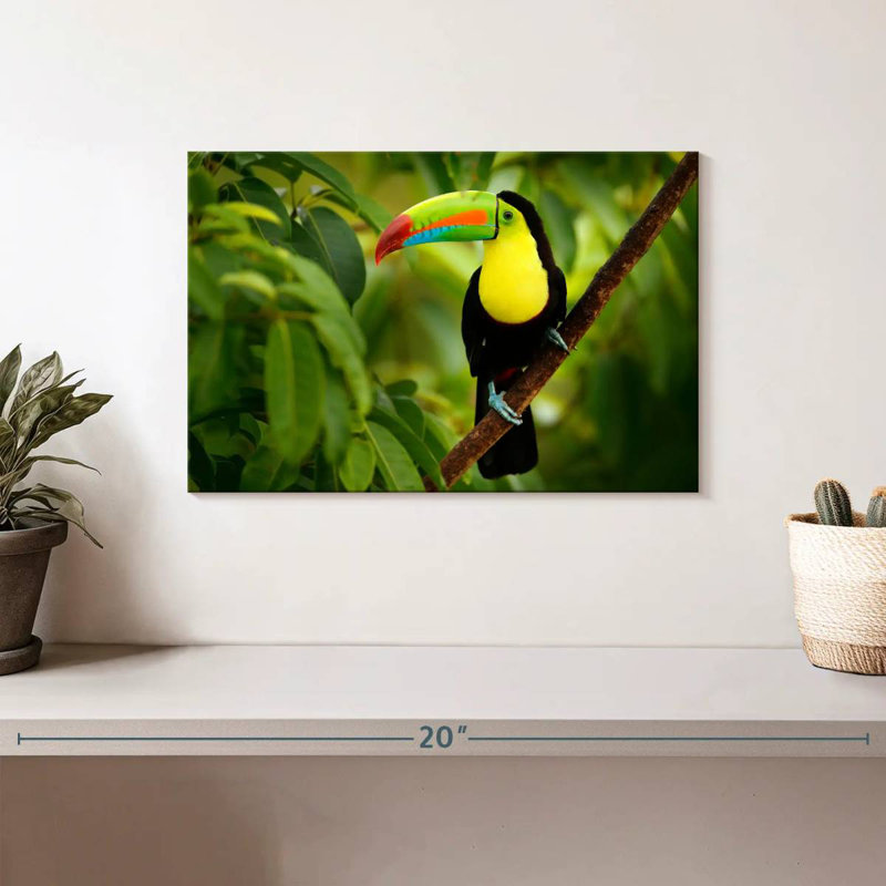 Brampt Toucan On A Tree, 8" H x 12" W