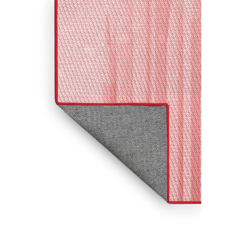 Indoor Rug, Runner 2' x 5'
