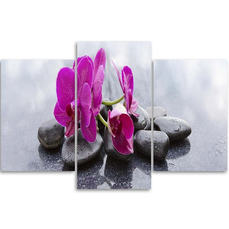 Leinwandbild Orchid Flowers Stones Purple