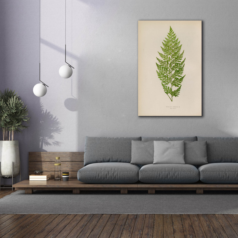 «Davallia Tenuifolia» par Art Licensing Studio, art mural sur toile, H 60 po x l 40 po