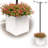Union Rustic Ilerioluwa Wooden Planter Box with String Light Pole Insert, Classic Stacked Panel Design, Weather-Resistant Finish, Wood Planter Boxes Outdoor, Wooden Planters with Integrated Drainage-694171386-694171387