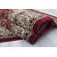 Oriental Area Rug in Red