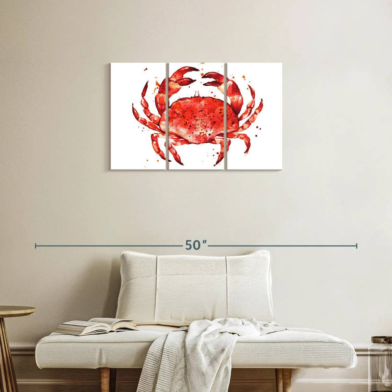 Crabe rouge cuit Brampt, H 20 po x l 33 po