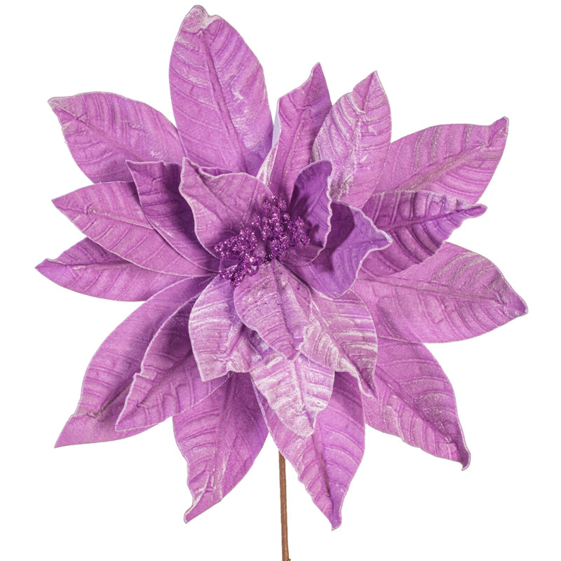 Tiges de poinsettia Clementina, Lavande