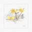 «Sunny Day I», impression sur toile tendue-72454052-72454054