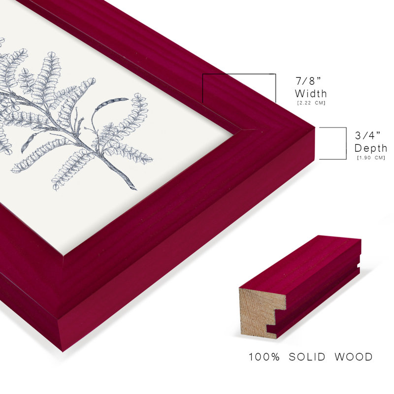 Indigo Botany Study II - impression d'un seul cadre photo, Rouge, H 6 po x l 4 po x P 1 po