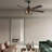 Aarshiya 52'' Ceiling Fan with LED Lights