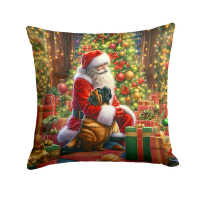 Coussin Mastiff and Santa Claus