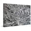 Karolis Janulis - Wrapped Canvas Print-518509473