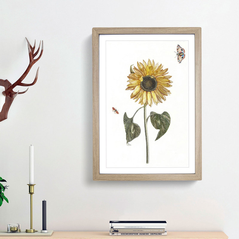 Sunflower with Butterflies by Johan Teyler - Picture Frame Painting Print, Oak Framed, 65cm H x 48cm W x 2cm D