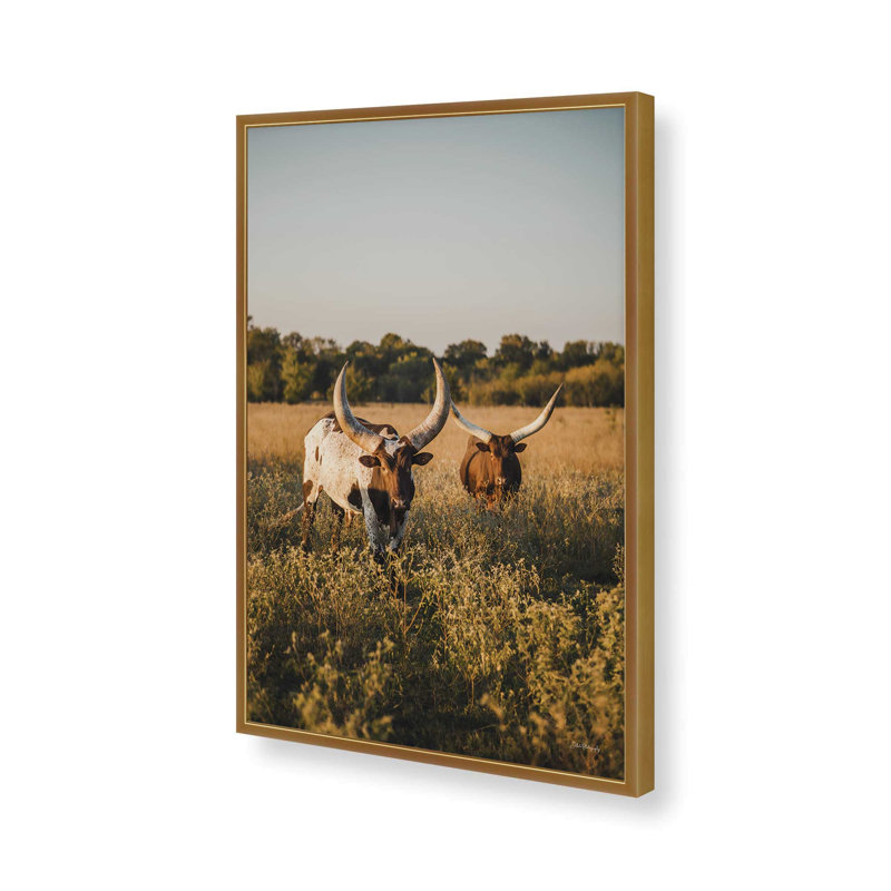 «Golden Hour Graze» par Dakota Diener, reproduction d'art, L 32 po x H 48 po, Doré, Impression encadrée