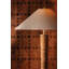 Bohicket Floor Lamp in Aged Brass by Cortney Bishop