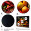 «Caribbean Fruits II», reproduction sur toile-1550274168-1360060834