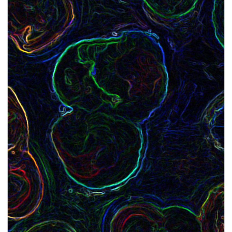 Particles 5 Painting by Irina Gorbman, 36" H x 36" W