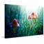 « fairytopia » par sylvia cook-reproduction de photo sur toile tendue-106472399