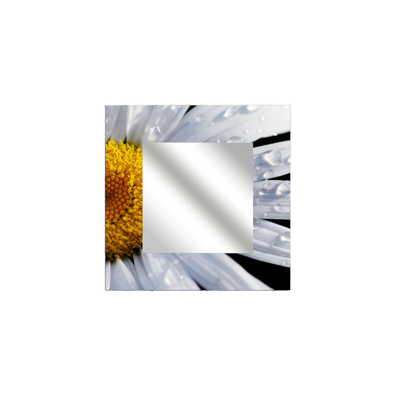 Miroir Gadsen