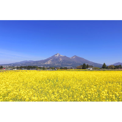 Ashbaugh Mt.Bandai - Wrapped Canvas Print