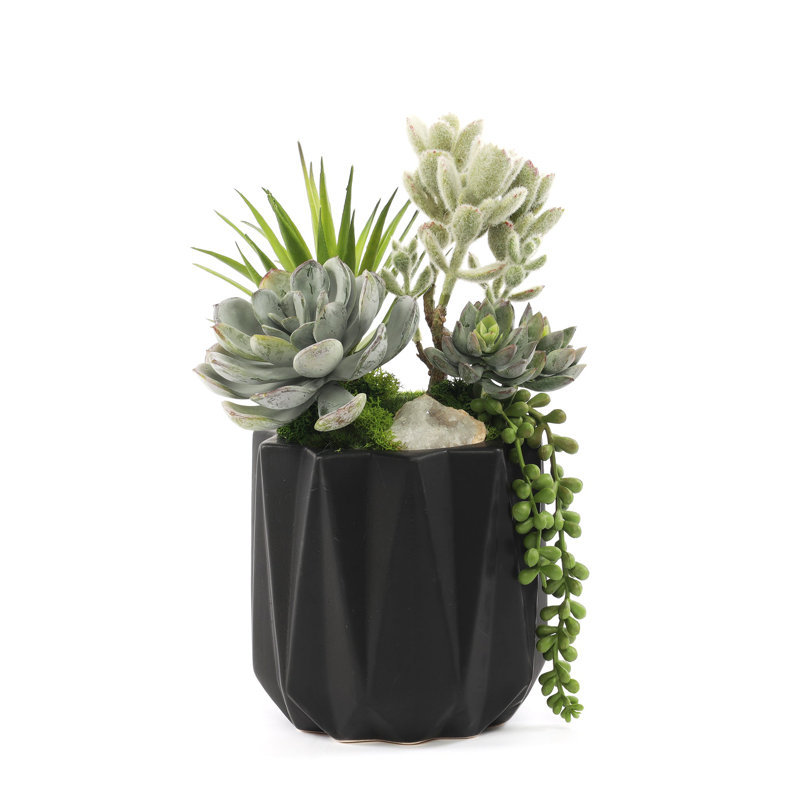 Plante grasse artificielle en pot 11 po