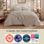Ensemble d'édredon 2-en-1 avec literie amovible Bed-in-a-bag, ensemble de literie toutes saisons (ensemble de 4)-126016533-120798832