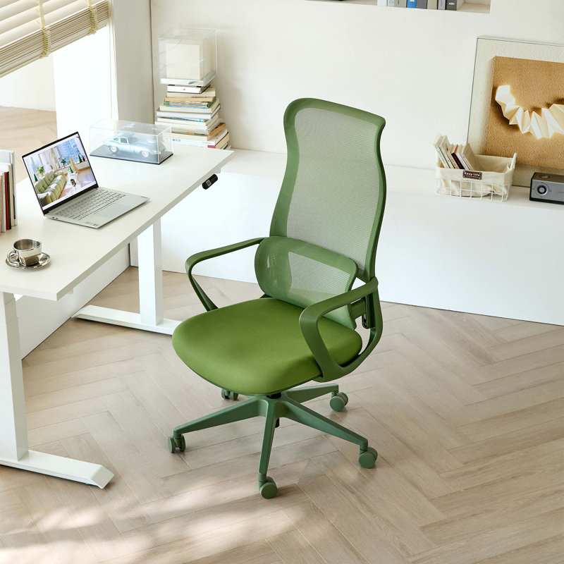 Fauteuil de bureau ergonomique et coloré 350LBS Home Office Mesh, Vert, Vert