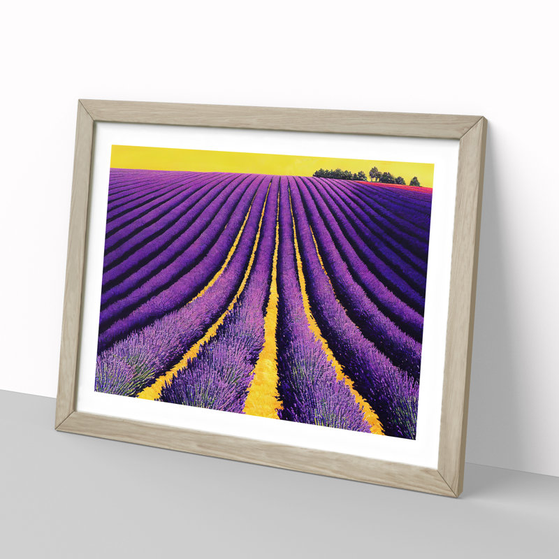 Flawless Lavender Flower Field - Single Picture Frame Print, 46cm H x 64cm W x 2cm D, Oak