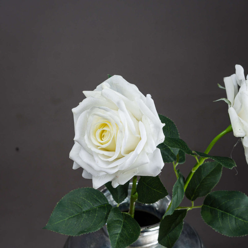 Rose Arrangement, White, 75cm H x 10cm W x 5cm D