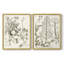 «Sepia Botanical Journal», reproduction encadrée de qualité supérieure - prête à être accrochée - aucun clou requis - aucun clou requis-2109359398-2109359397