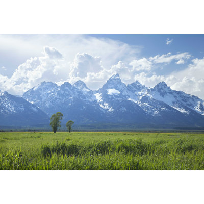 " Grand Teton Mountains "