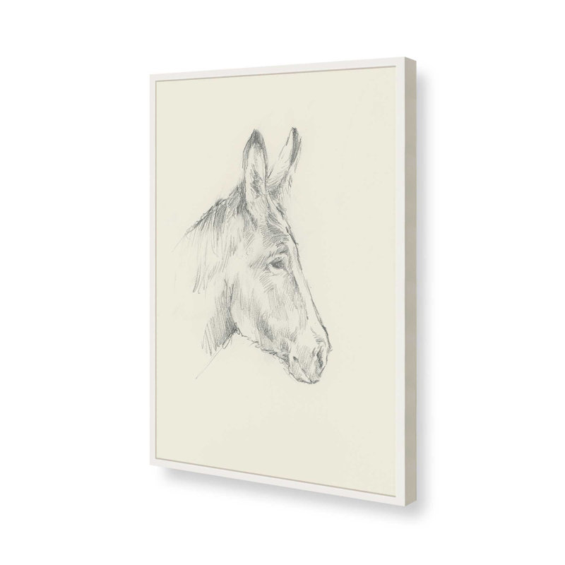 «Donkey Study I» par Ethan Harper, reproduction d'art sur toile, Impression sur cadre ouvert sans papier mat, Blanc