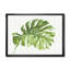 « mixed botanique green leaves v », reproduction d’art sur toile-1703968241-1703967351