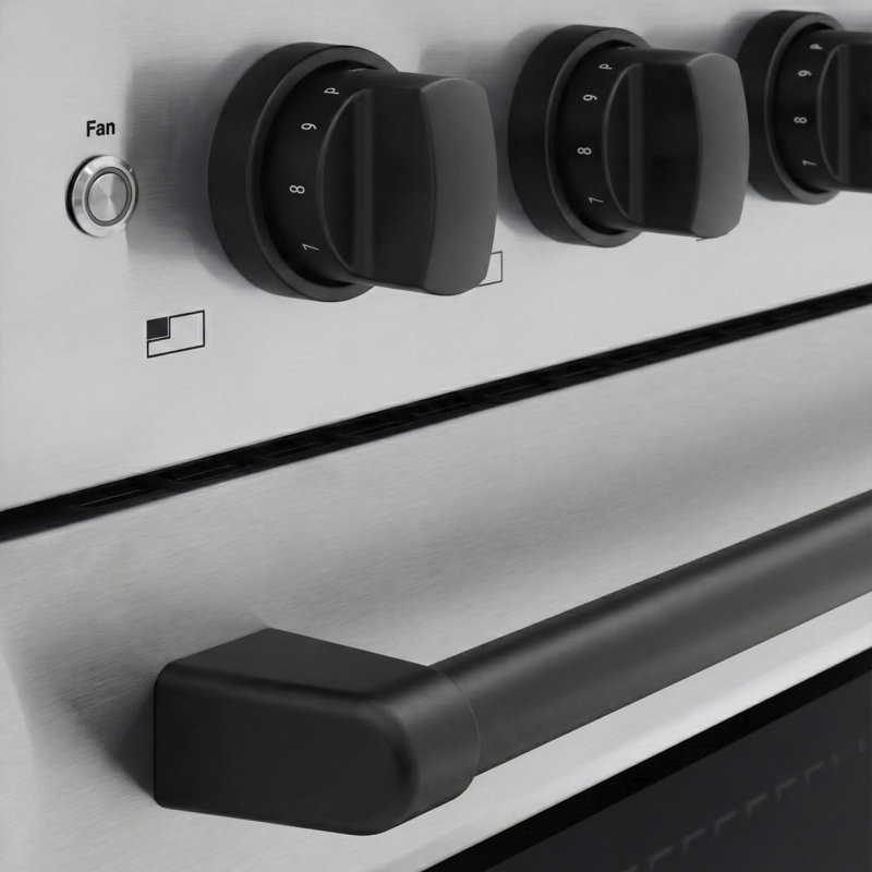 ZLINE Autograph 24 in. Paramount Induction Range with 3 Element Cooktop & Matte Black Accents, Matte Black