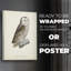 French Owls V - Impression sur toile seulement - NON-CADRE-250968648