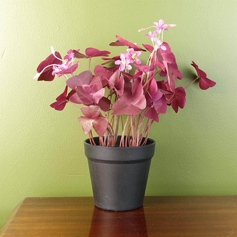 Foliage Plants 30cm Faux Plant in Pot Liner