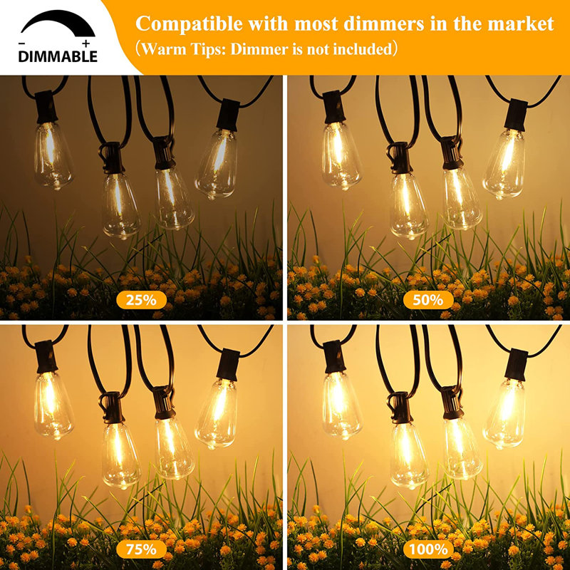 Montesinos 52 - Bulb 1200'' Plug-in String Light