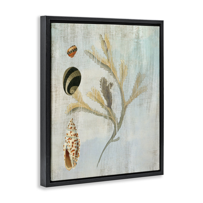 Cadre flottant mixte coquillages et corail, design par Susan Arnot, H 31 po x l 25 po, Cadre flottant noir de jais