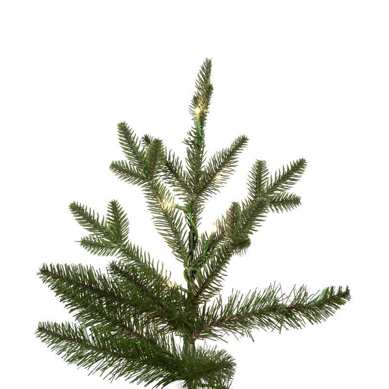 Green Realistic Fir Christmas Tree with 2200 LED Lights, 12 ft