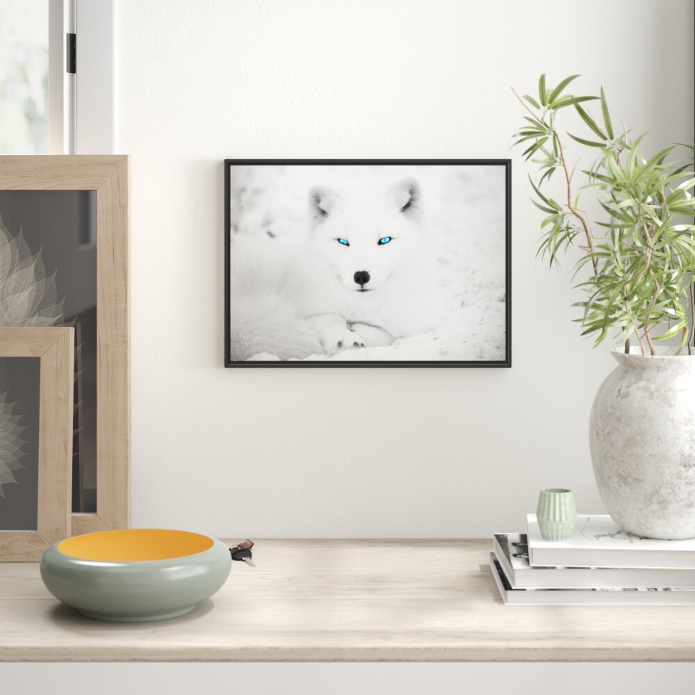 Gerahmtes Wandbild Polarfuchs mit strahlenden Augen