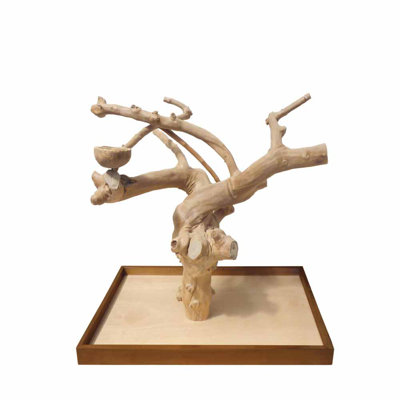One-of-a-Kind 27.5'' Bird Play Stand for Table Top