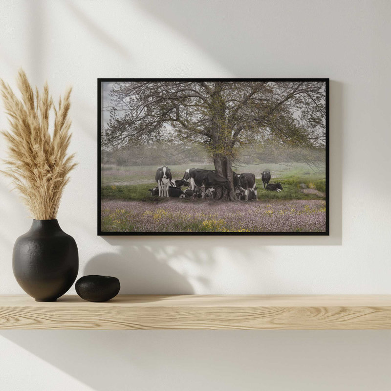«The Favorite Tree» par Robin-Lee Vieira, reproduction d'art, 12 W x 8 H, Tan, Framed Print