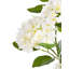 Artificial Plant HORTENSIUM 120 cm White