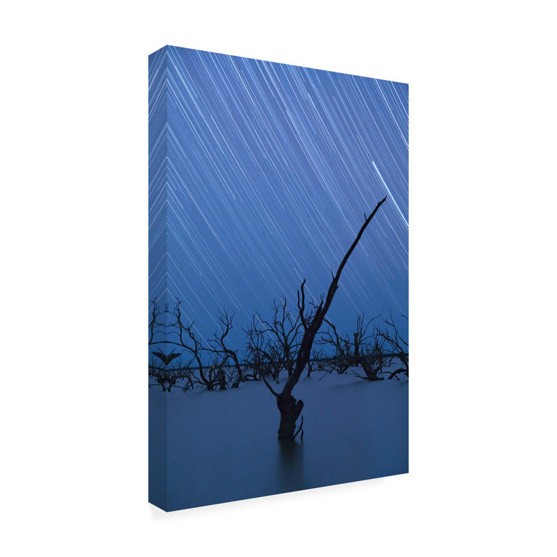 Art sur toile Jingshu Zhu, H 16 po x l 24 po